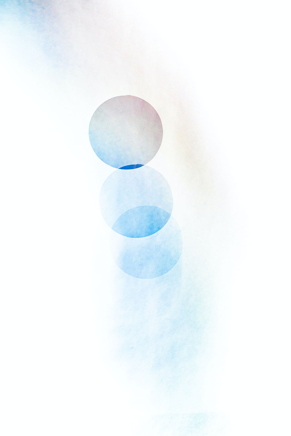 Image by Evie S.