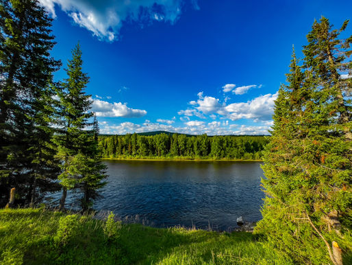 TAYGANIN KANADA SINIRLARINDA