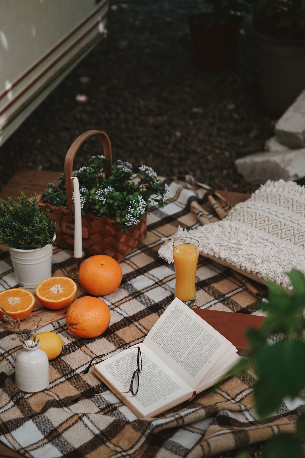 Oranges, orange, picnic, drink, drinking, kid friendly, sweet, good, great, highly rated, best, historical drink