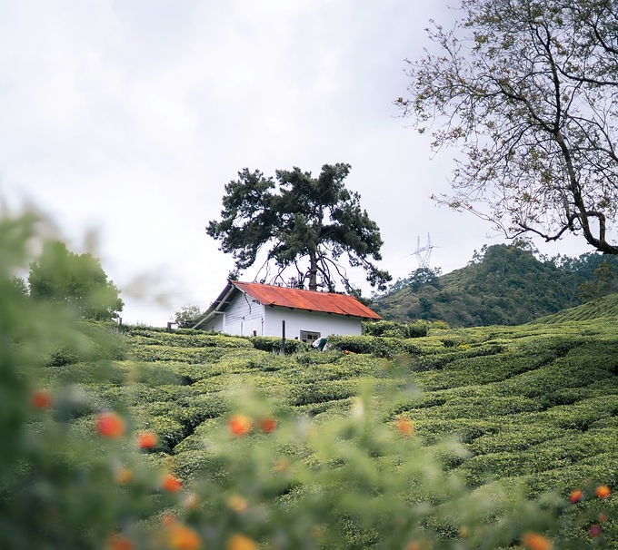 Image by eldhose kuriyan