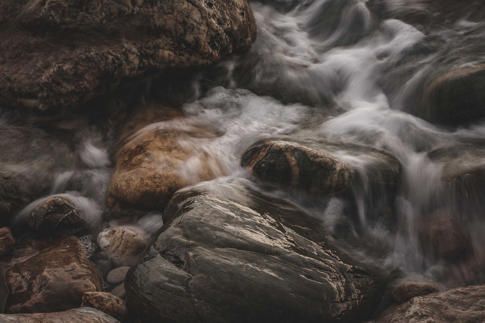Image by Francesco Ungaro