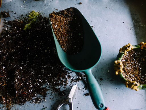 5 Essential Spring Landscaping Tasks for a Healthy and Beautiful Yard | Carolina Terrain