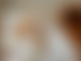 Un chien et un chat