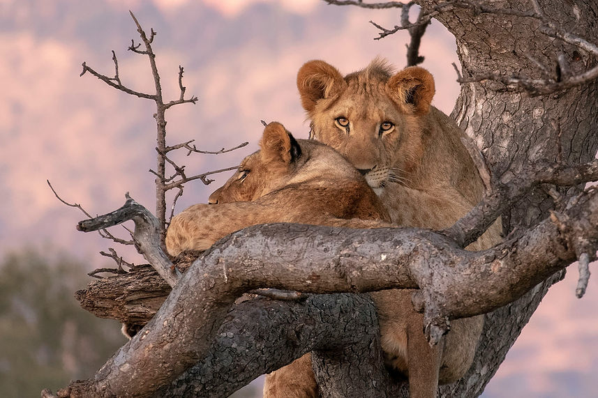 Image by Wietse Jongsma