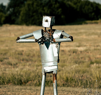 Image by Dylan Hunter