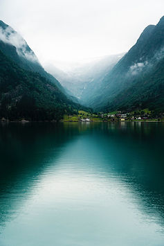 Image by Ansgar Scheffold