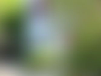 توفر مارماريس خيارات متنوعة من السكن الطلابي تناسب مختلف الميزانيات وأنماط الحياة. سواءً اخترت السكن الجامعي، أو الشقق الخاصة، أو المنازل المشتركة، أو بيوت الشباب، أو الإقامة مع العائلات، فلكل خيار مزاياه الفريدة.