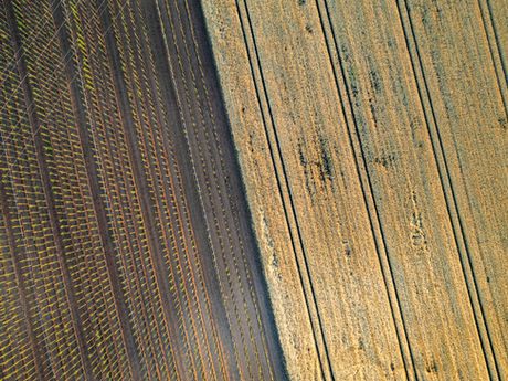 Elbirliği Mülkiyetinin Paylı Mülkiyete Dönüştürülmesi