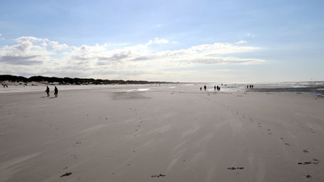 Urlaub im Wattenmeer: Unvergessliche Tage im Weltnaturerbe
