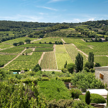 Image de Eric Masur