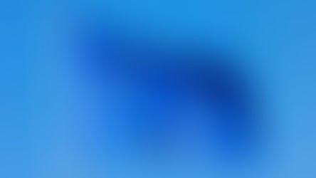 'לא תכרֹת להם ברית ולא תחנֵּם'