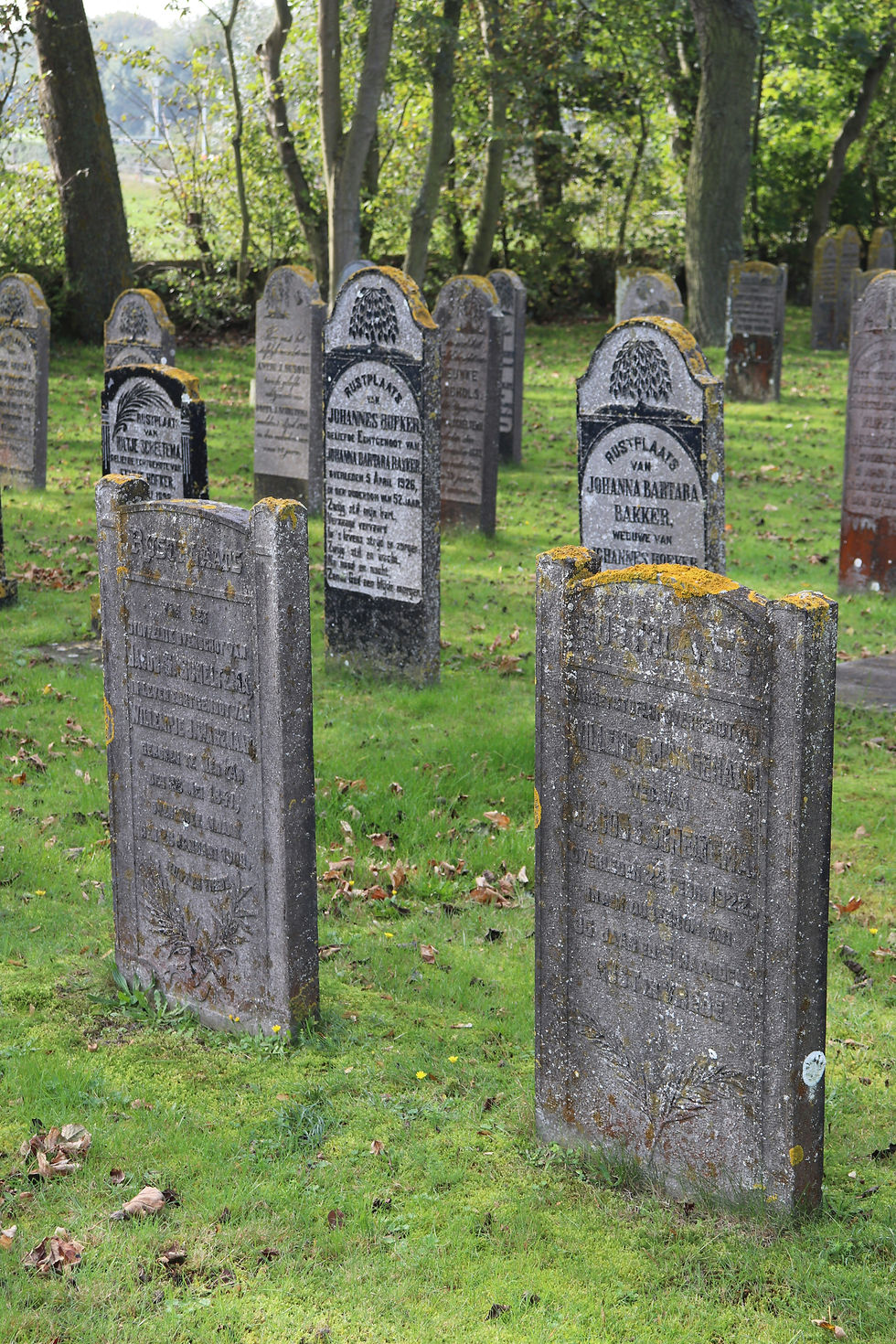 a graveyard with green grass and headstones. image by Julia Kravitz