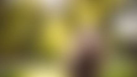 When you give everything to have an ordinary life