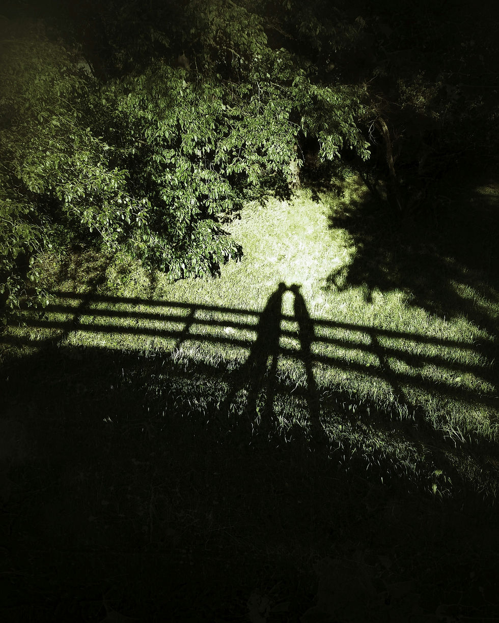 « Une relation ne meurt pas d’un coup ; elle meurt de négligences, d’une multitude de petites indifférences » Esther Perel, psychothérapeute.