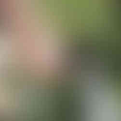 Arrosage des fleurs du jardin au tuyau d'arrosage