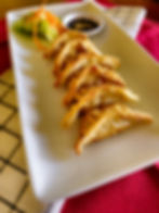 Fried Dumplings