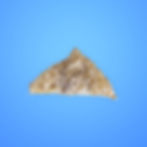 Turnover