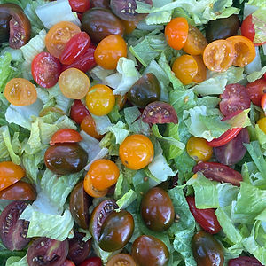 Tuscan Son Salad