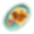 Chorizo w/egg Plate