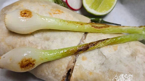 Burrito Regular
