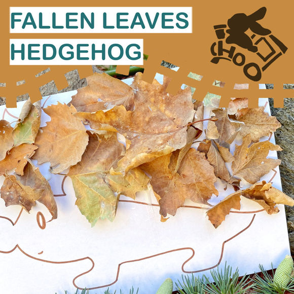 Fallen Leaves Hedgehog Cover