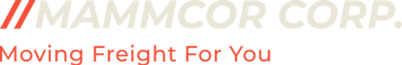 MAMMCOR CORP logo