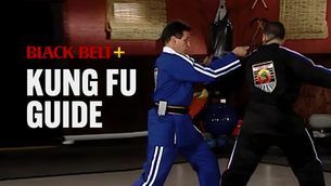 Kung Fu 101: An Essential Guide for Beginners