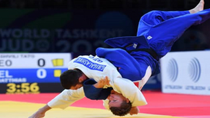 Judo Blog: The Established Order