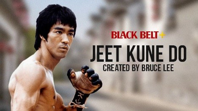 Bruce lee jeet kune do online