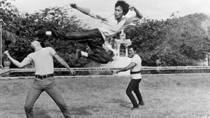 Embracing Bruce Lee's Wisdom: Learning from All Disciplines