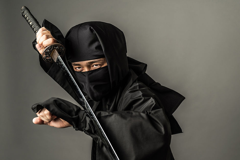 Ninja Gear