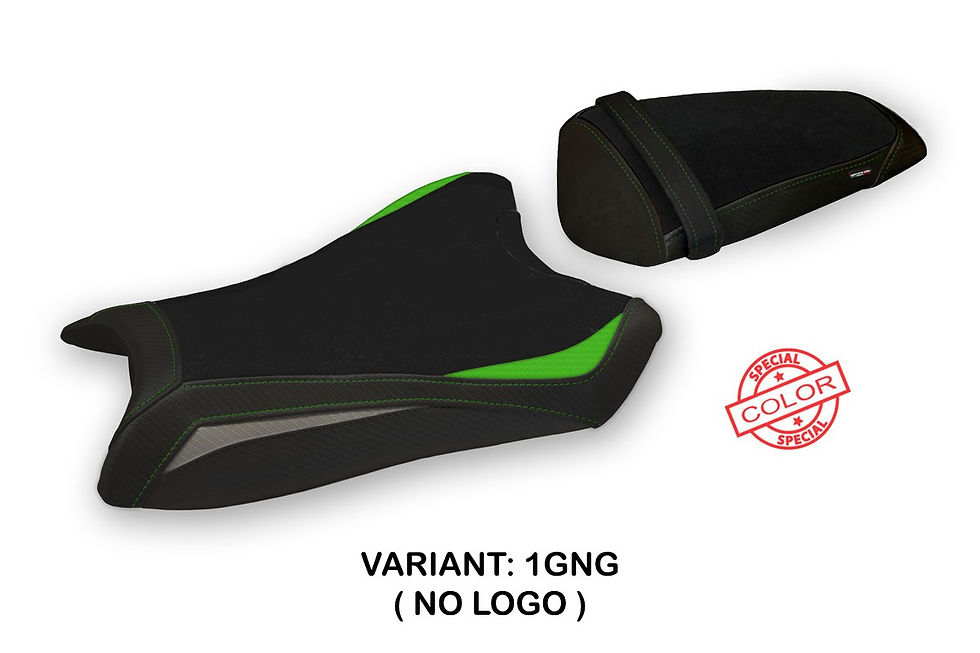 KAWASAKI NINJA ZX 10 R (11-15) INDORE SPECIAL COLOR MODEL