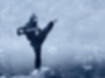 Ninja History 101: Spies and Assassins