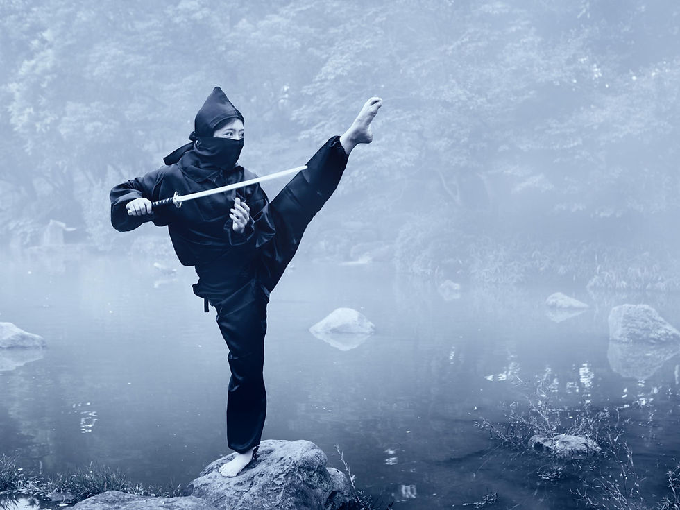 Ninja History 101: Spies and Assassins