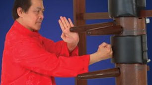 Kung Fu Techniques Video: Wooden-Dummy Wing Chun Kung Fu Training With Grandmaster William Cheung