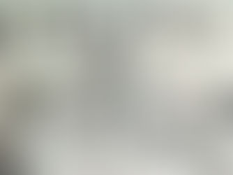 The Top Five Martial Arts Families